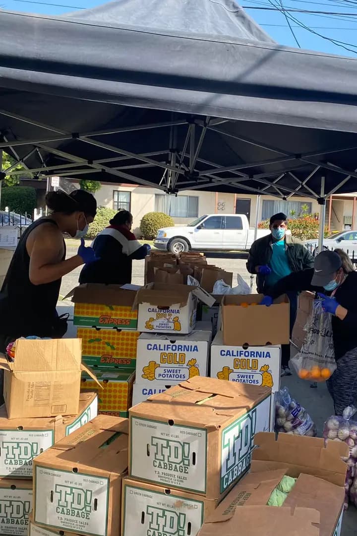 Mele participating in a local community food distribution event for covid relief